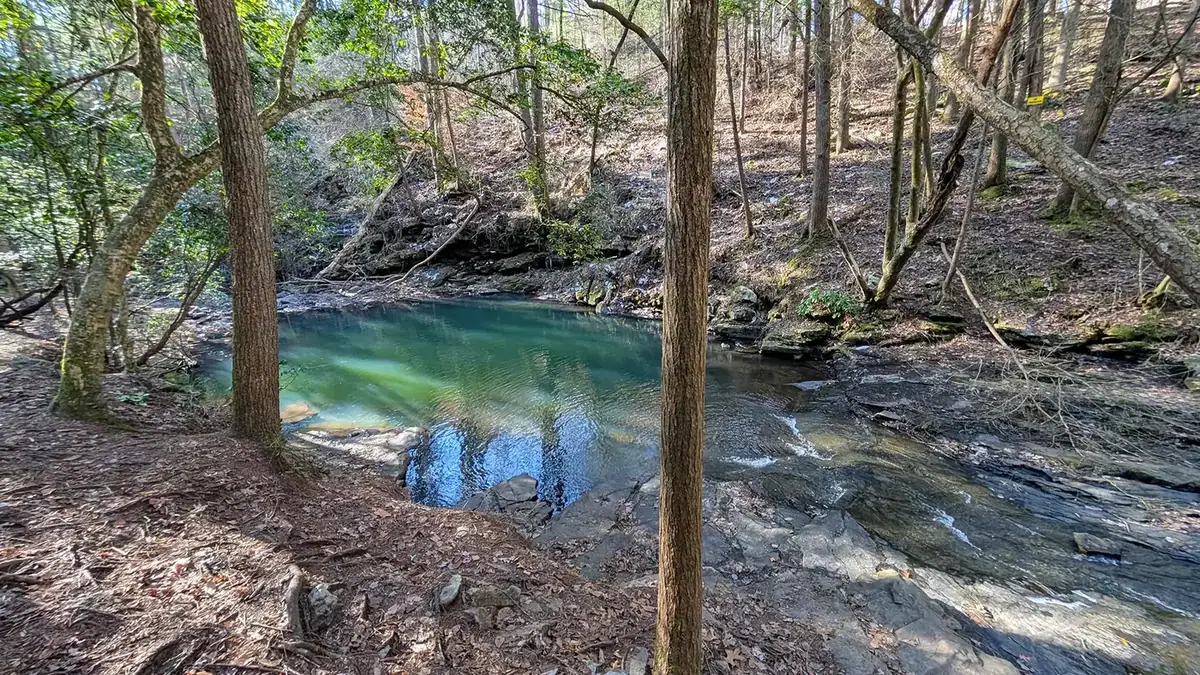 A green pool in a rocky creek along the Fiery Gizzard corridor