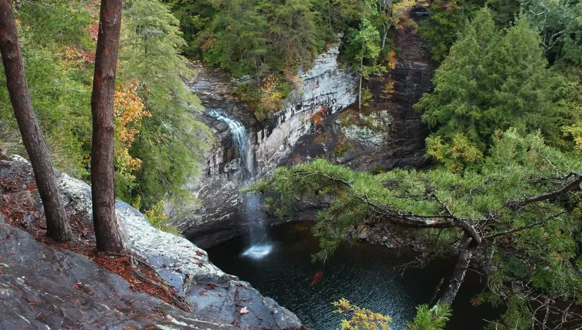 Wooded campsites at Foster Falls Campground in Fiery Gizzard State Park