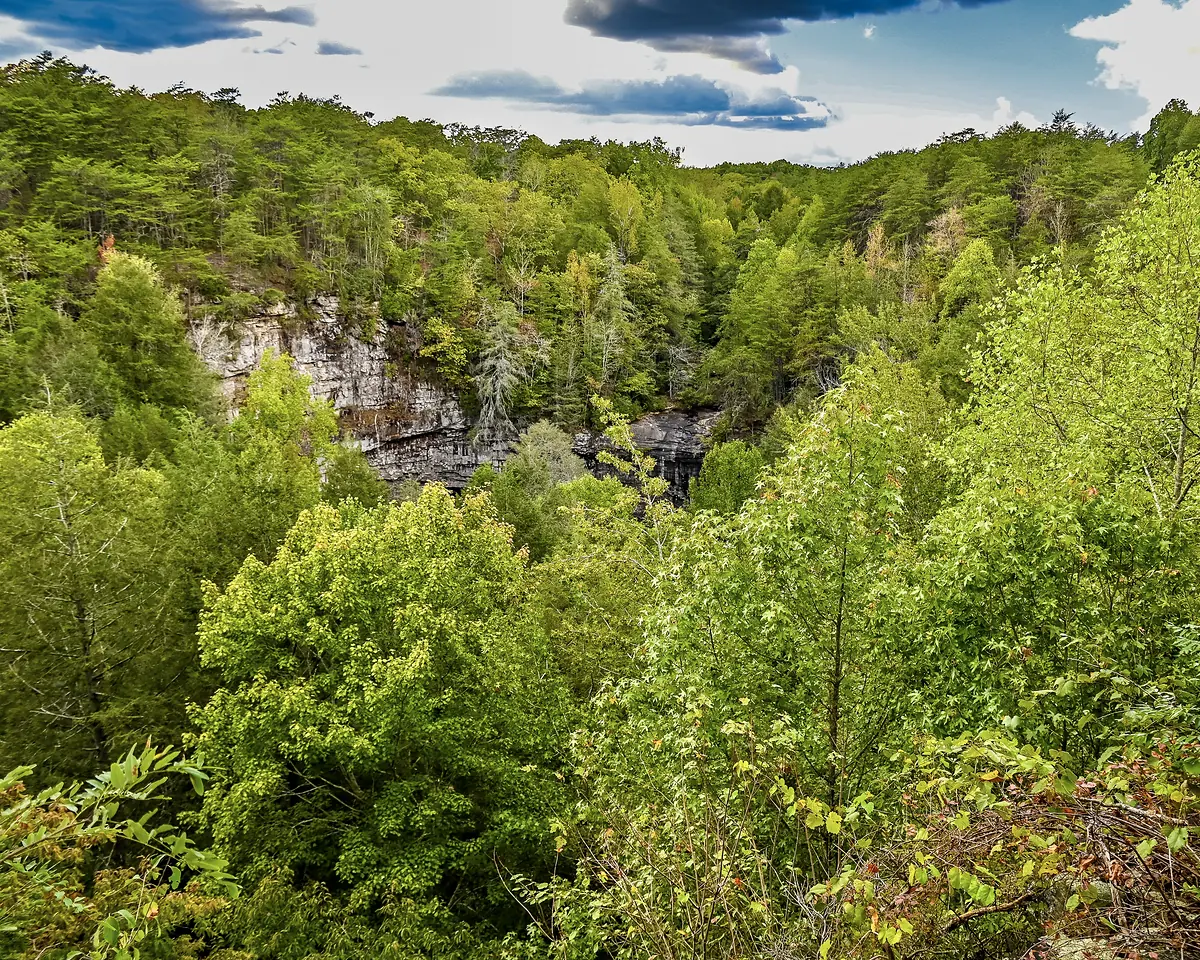 Forest and a rock bluff above the Fiery Gizzard gorge
