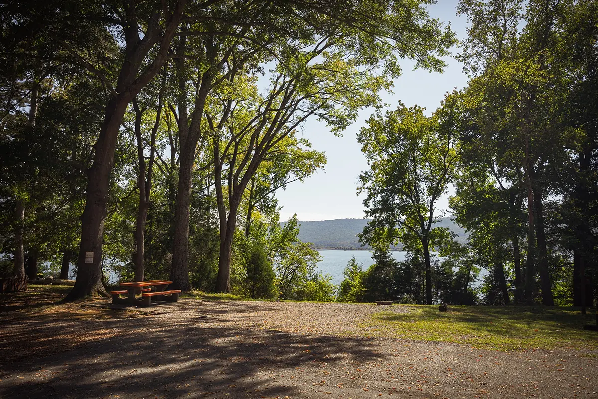 Shady lakeside campsite at Shellmound Campground