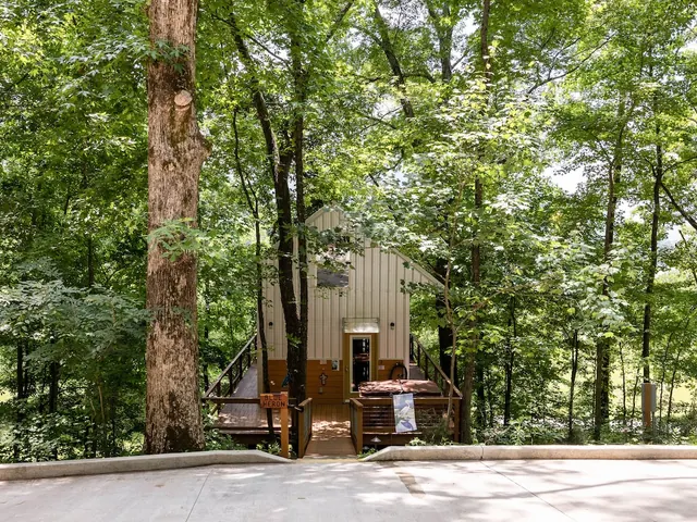 Blue Heron Treehouse, Nickajack Lake