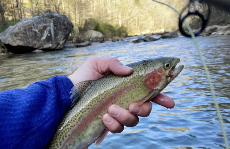 fishing-1